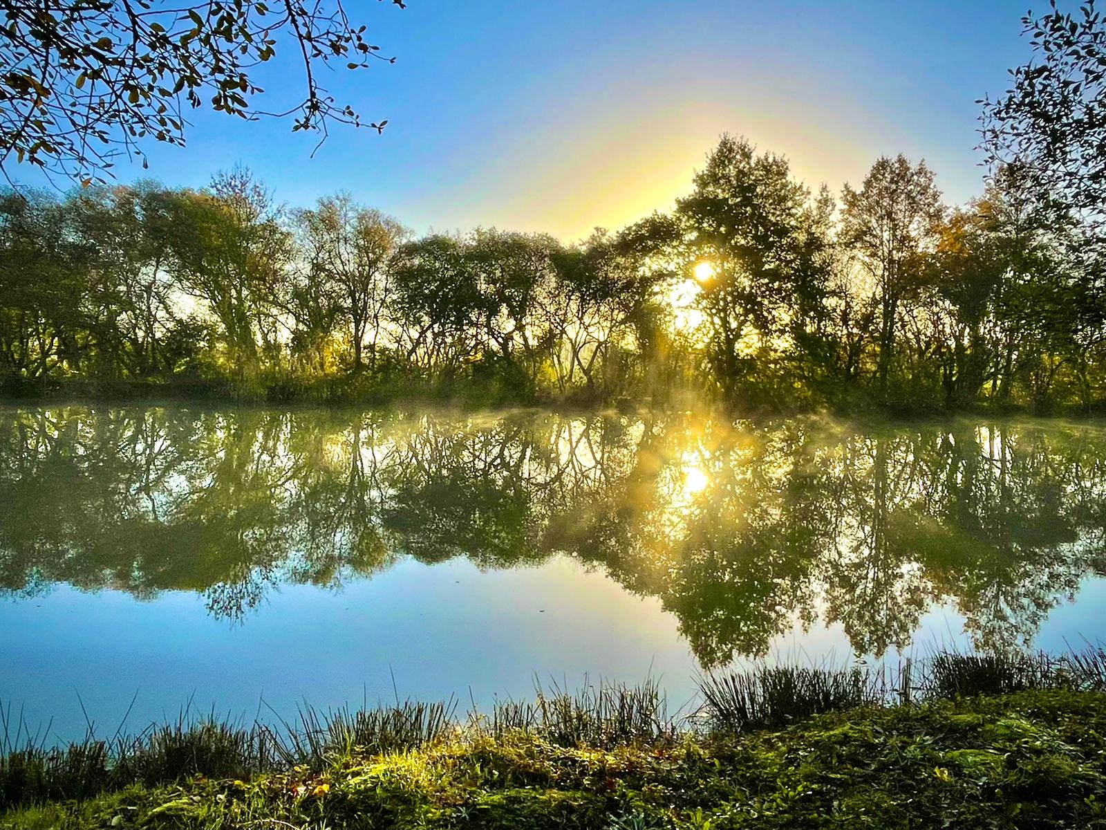 8b245e4b-582a-444a-a9fe-83e8c4f5ebab